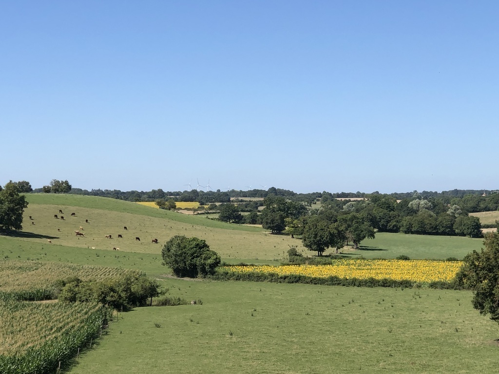 Nos paysages de campagne