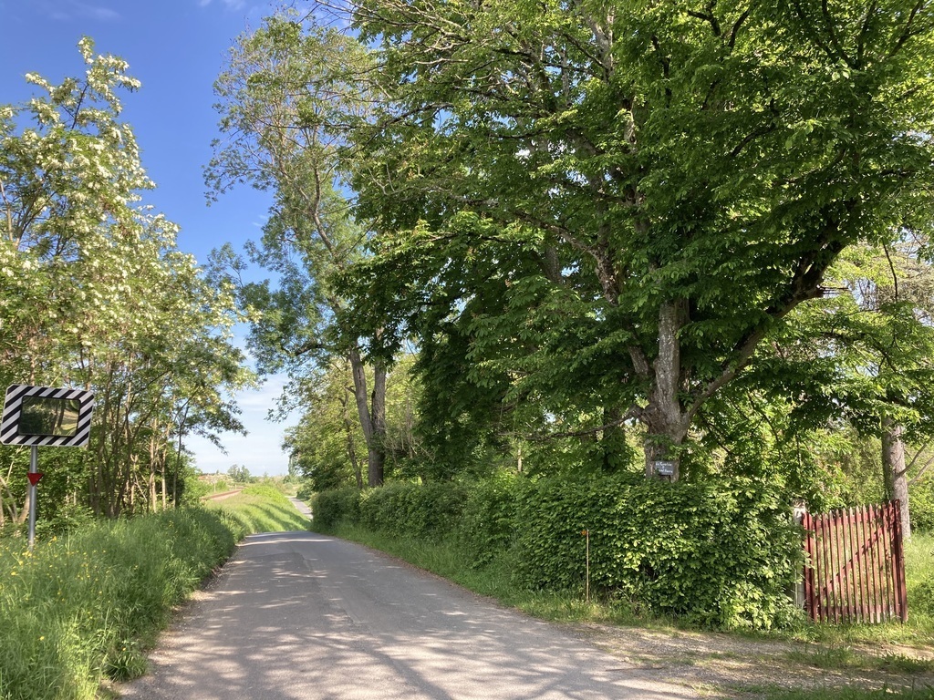 Entrée par la route 