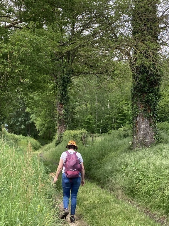 Randonnée dans le bocage