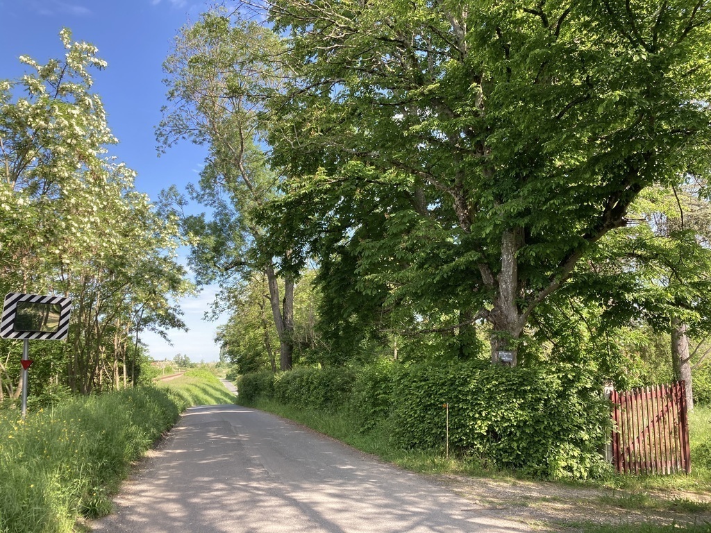 Entrée par la route 