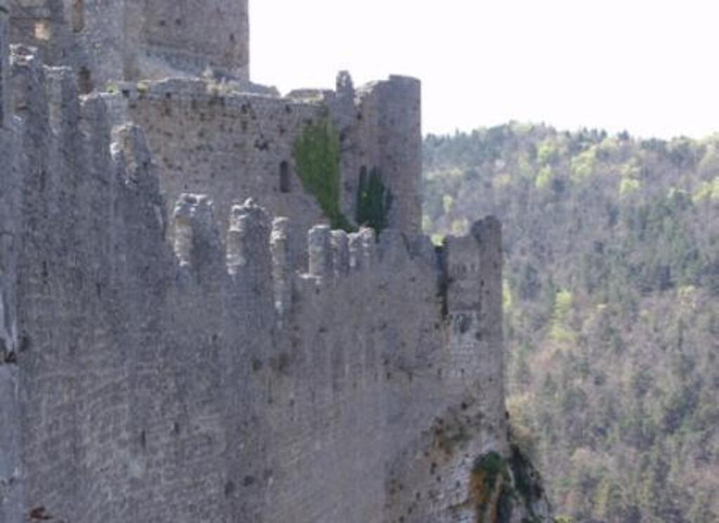 cathar castle