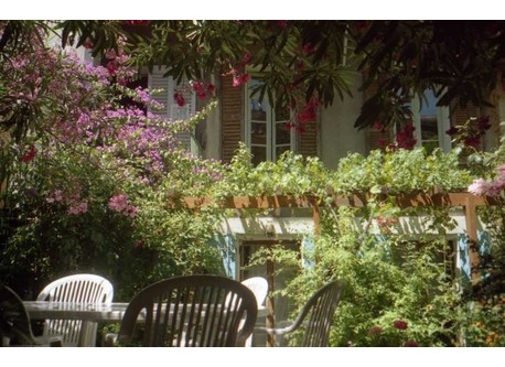 Notre petit jardin en centre ville.