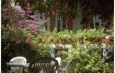 Notre petit jardin en centre ville.