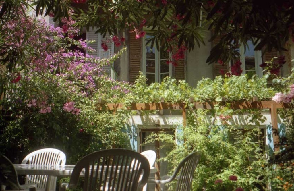 Notre petit jardin en centre ville.