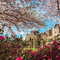 Vannes, le château et le jardin des remparts (photographie de Morgan Taltavull). 