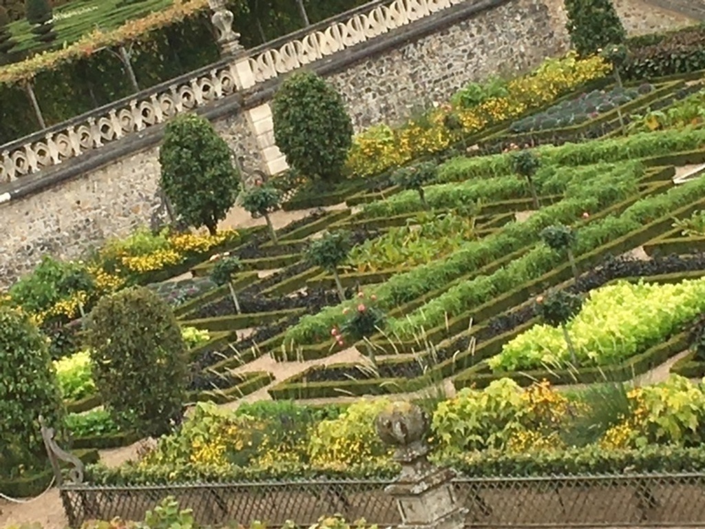 Gardens of vegetables Castel of Villandry 