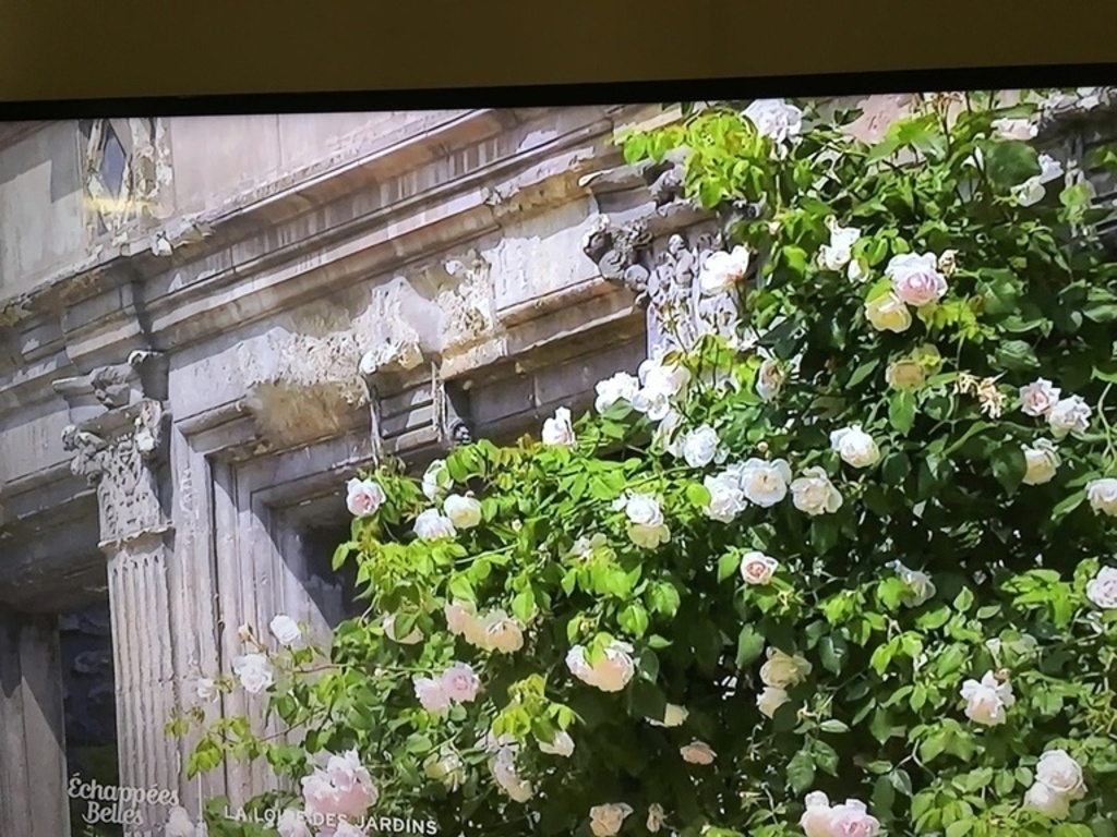 CHEDIGNY village,gardens  with 1000 rosiers festival 18 to19 may 2019 