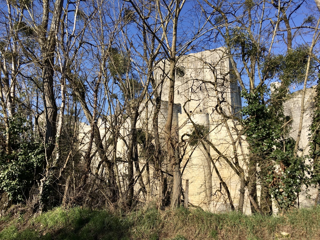 Loches medieval castle