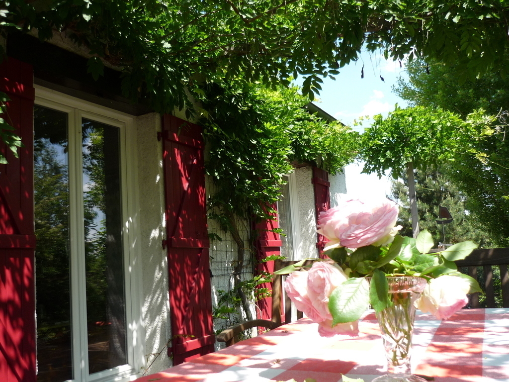 patio south oriented