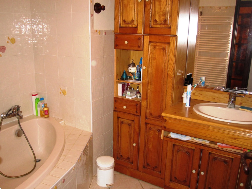 The groundfloor bathroom