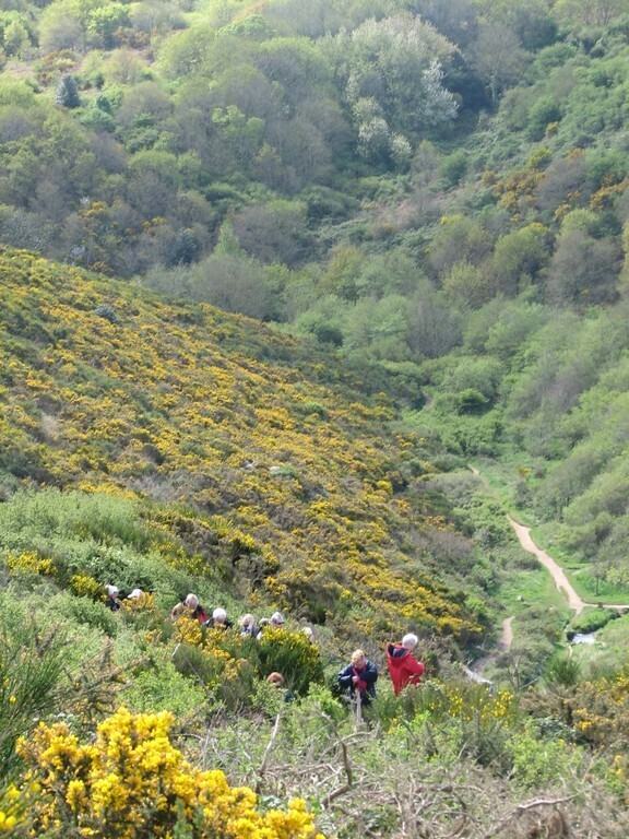 Vallée des peintres à Carolles