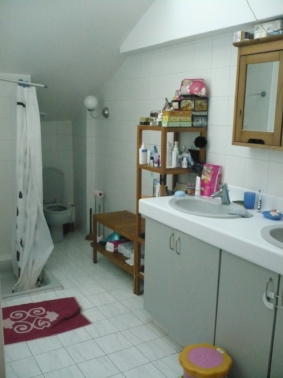 The first floor bathroom (with a shower and a bathtub)