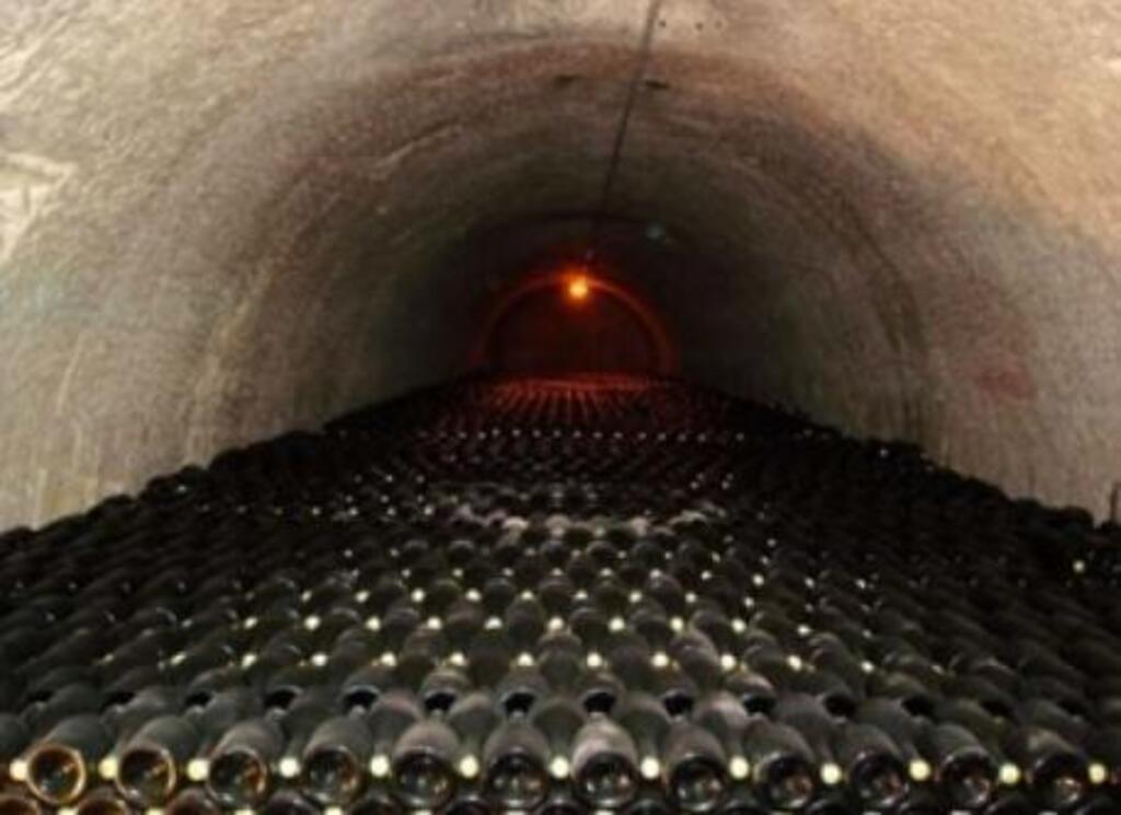 Champagne cellar / Cave de champagne