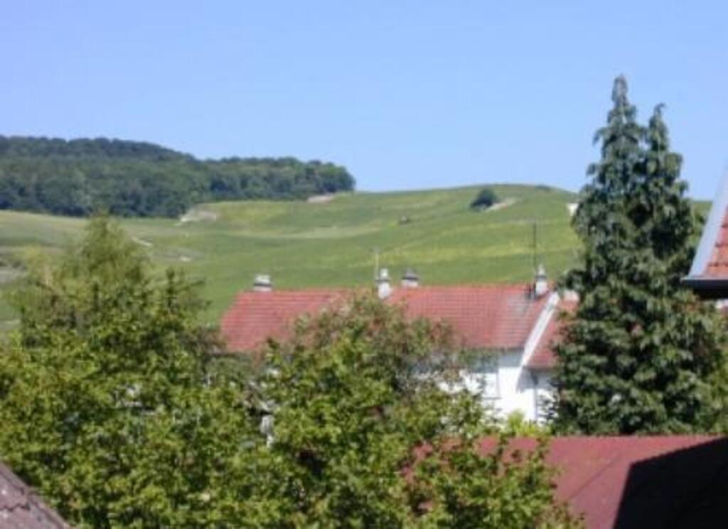 View of the vineyards from the house / Vue sur les vignes depuis la maison