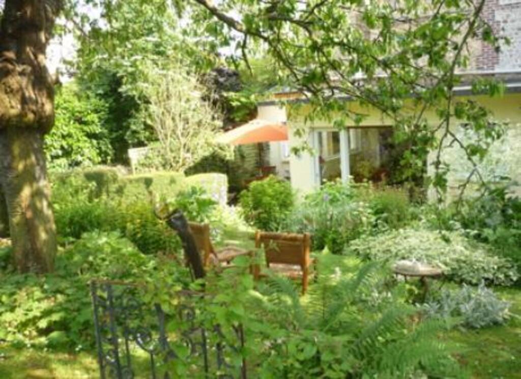 jardin à l'arrière de la maison