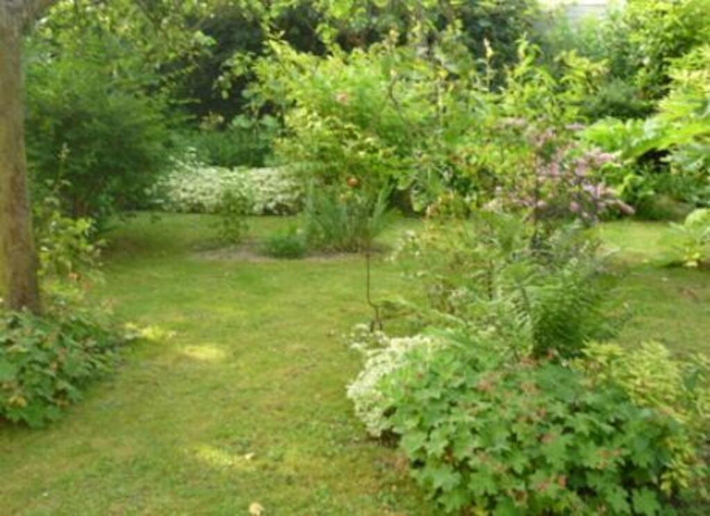 jardin derrière la maison