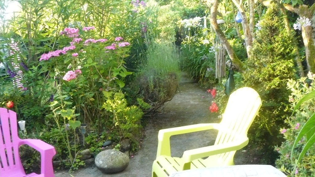 Our garden on summer