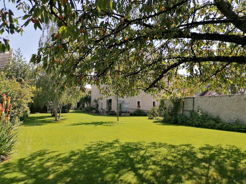 The house from the end of the garden