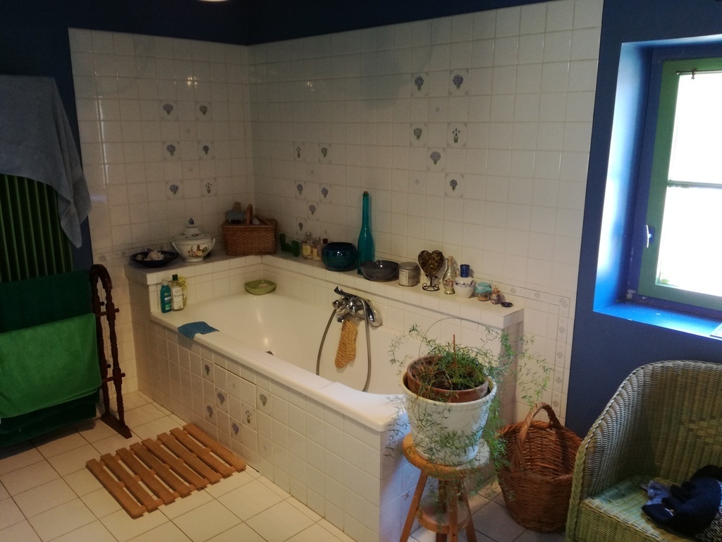 The bathroom upstairs with bath and shower