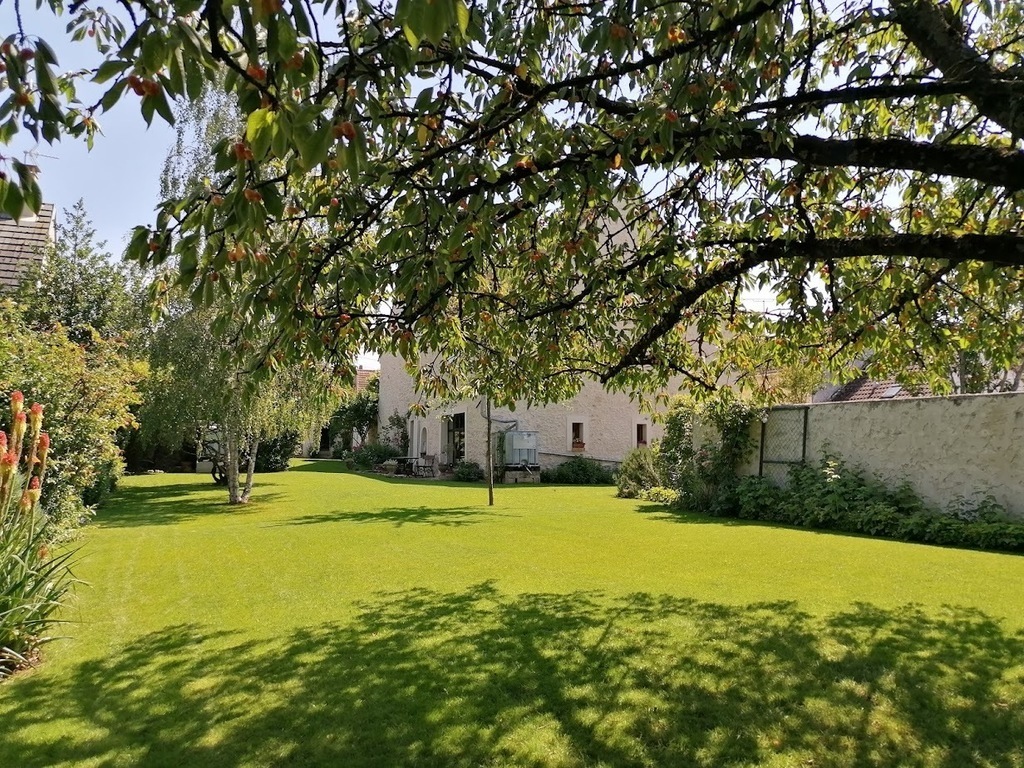 The house from the end of the garden