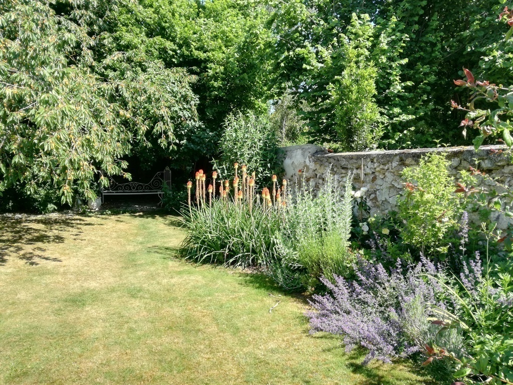 The garden with flowers