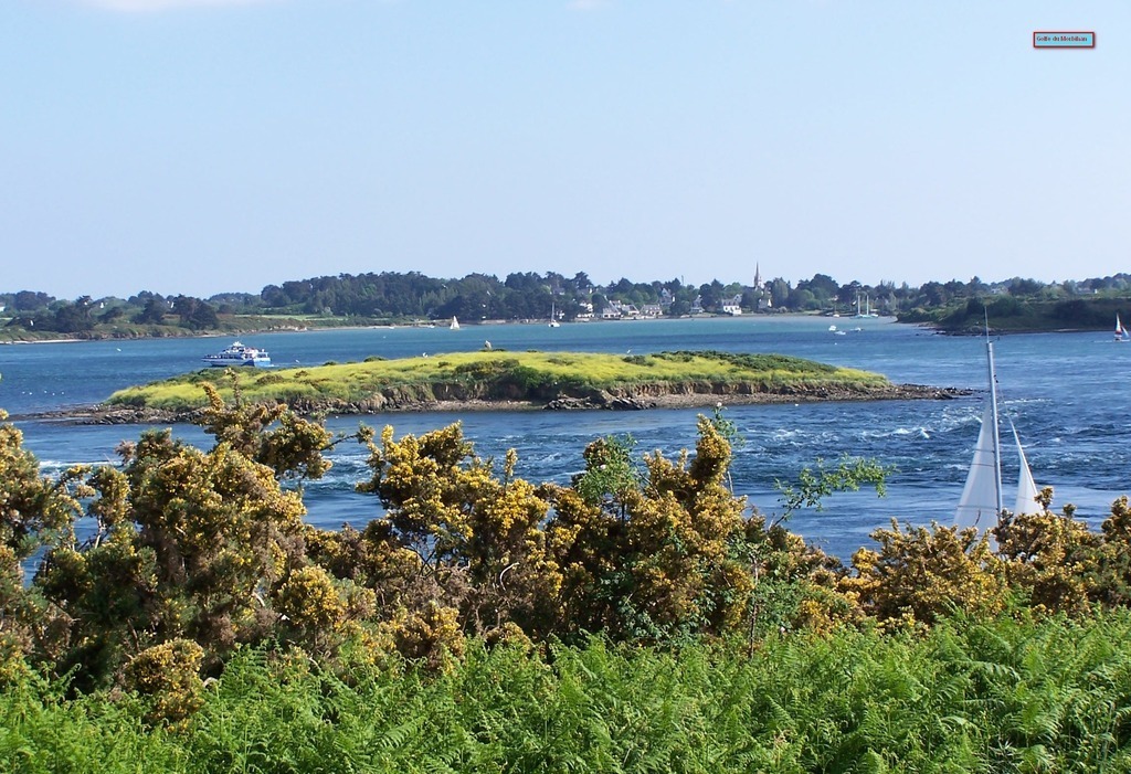 the golfe du Morbihan
