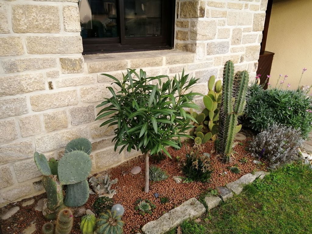 façade sud / entrée