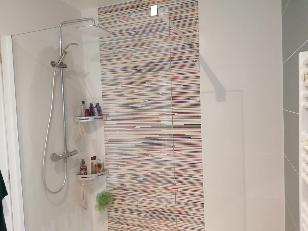 salle de bain du RDC douche