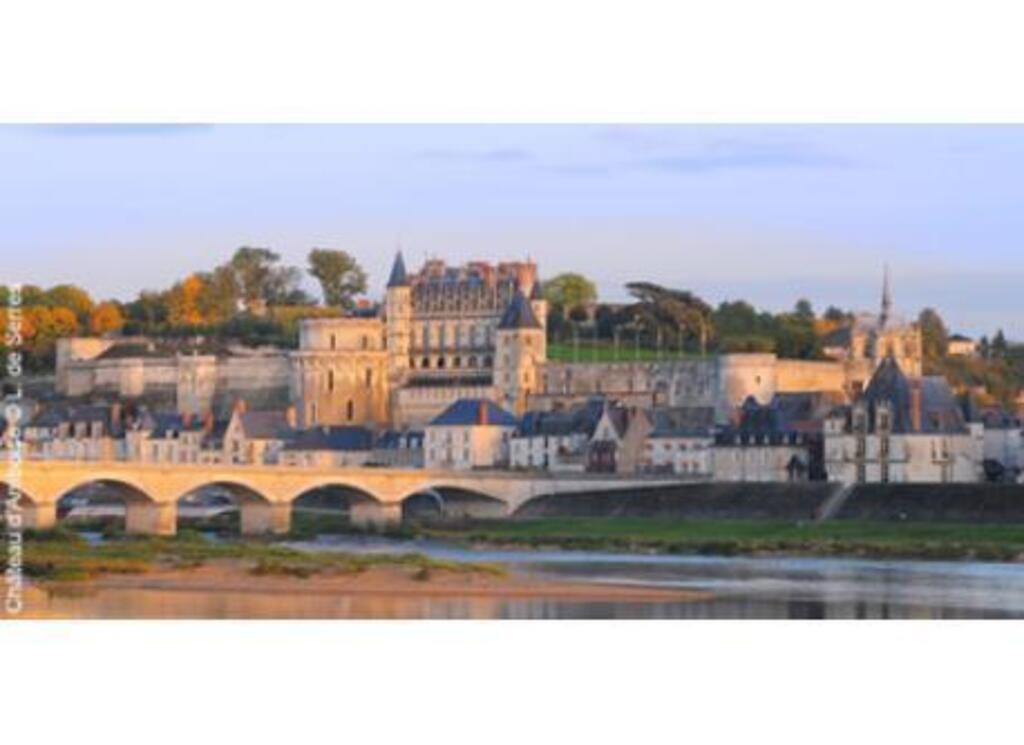 Amboise castle