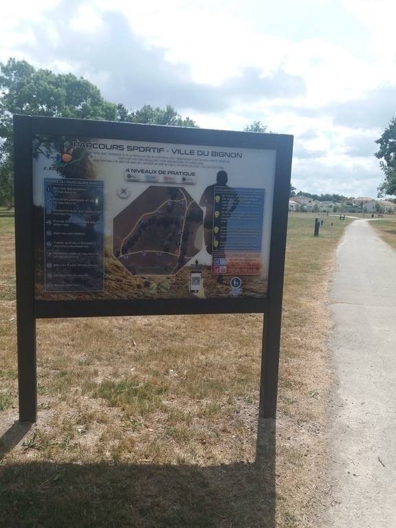 Fitness training in our park