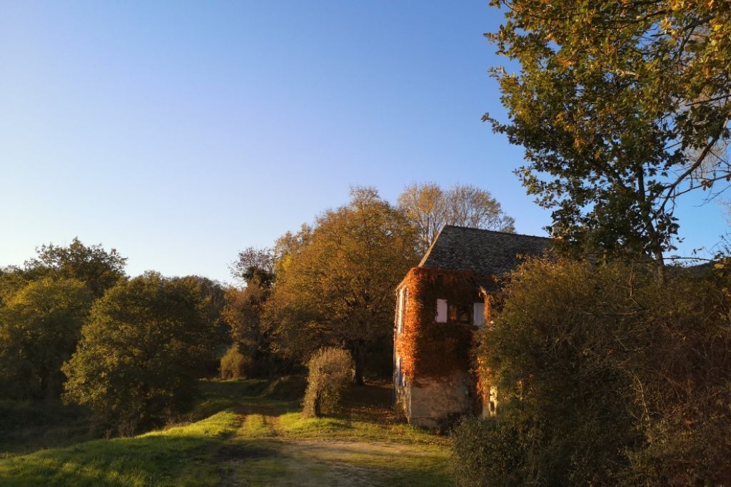 EN AUTOMNE