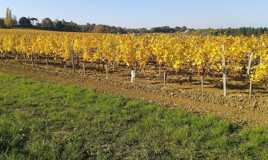 entre 2 mers -20 janvier 2016