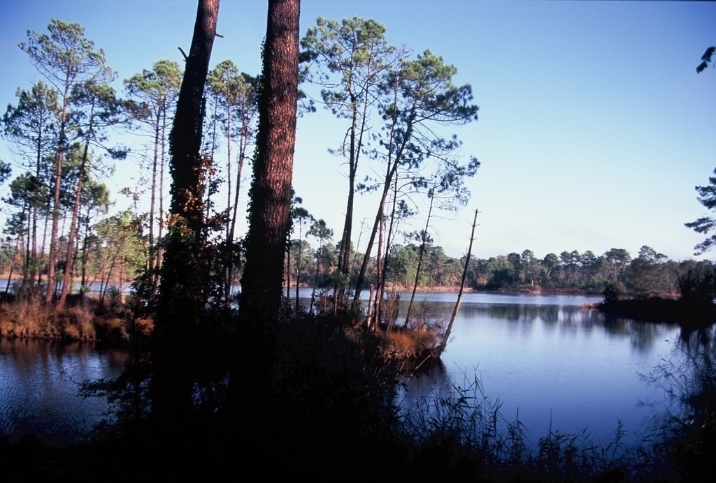 Hosteins-15 nov 2015