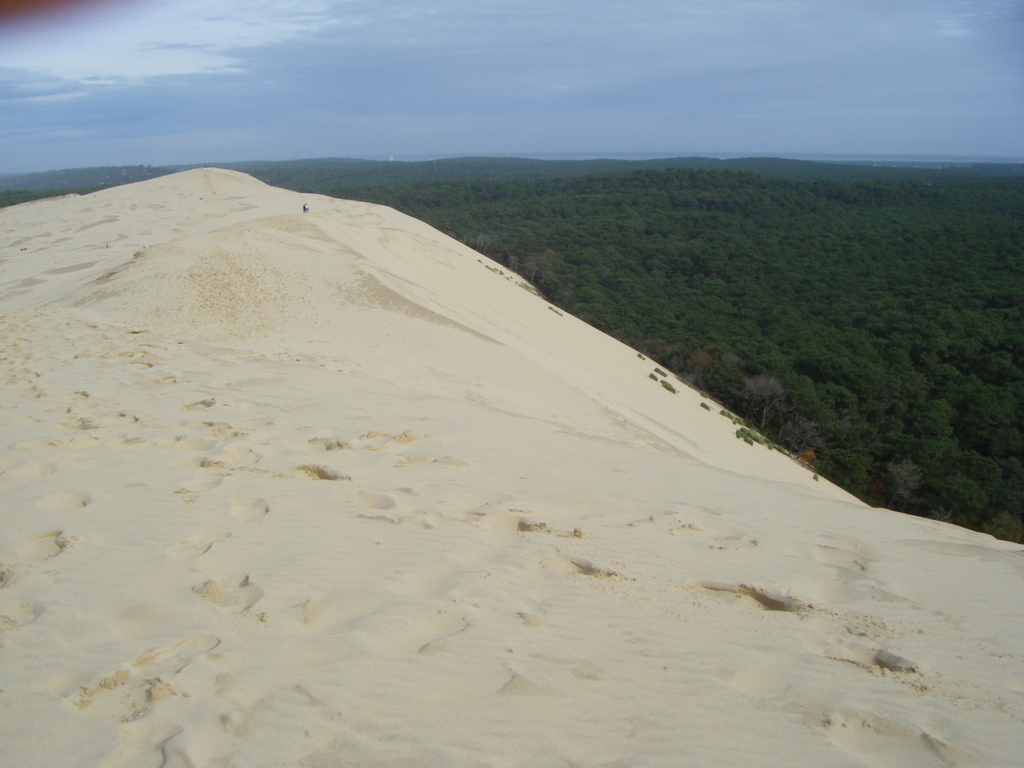 dune du Pyla