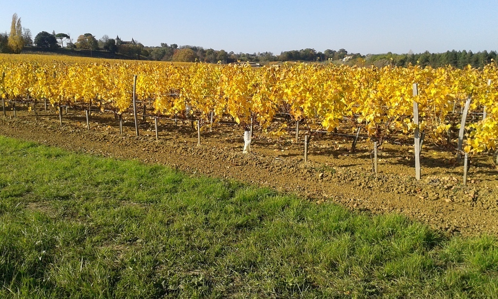 entre 2 mers -20 janvier 2016