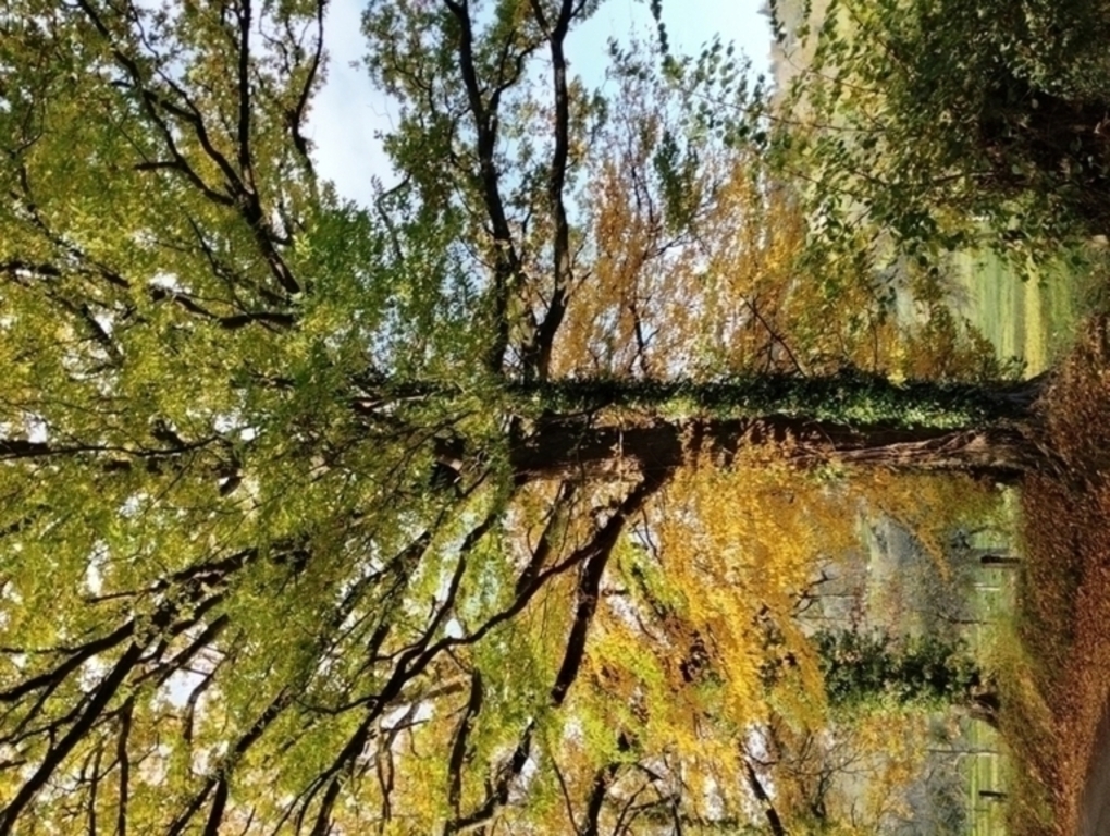 L'automne à Hermival