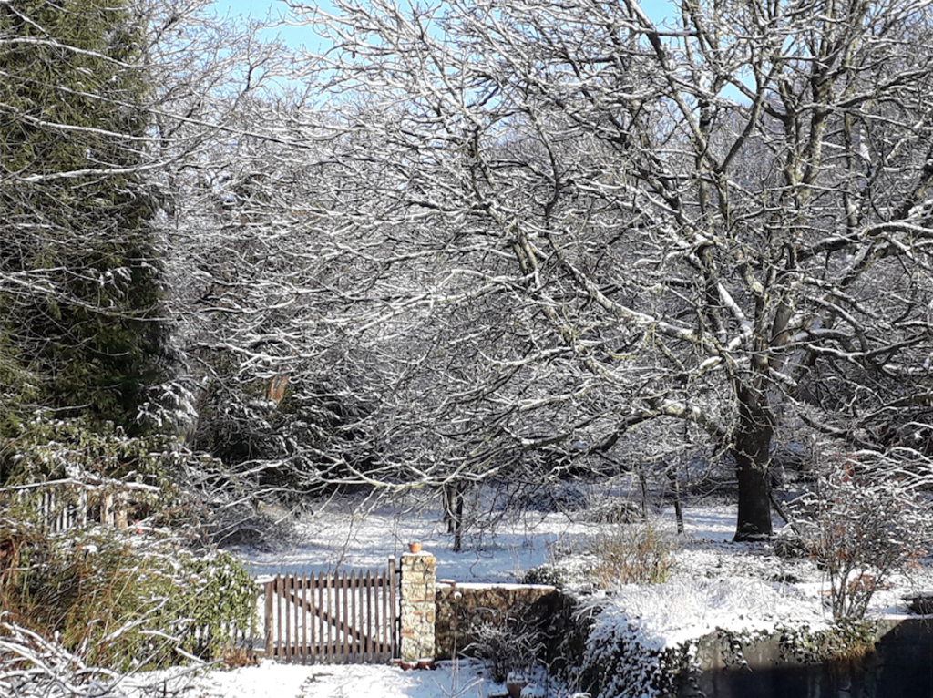 Le verger en hiver