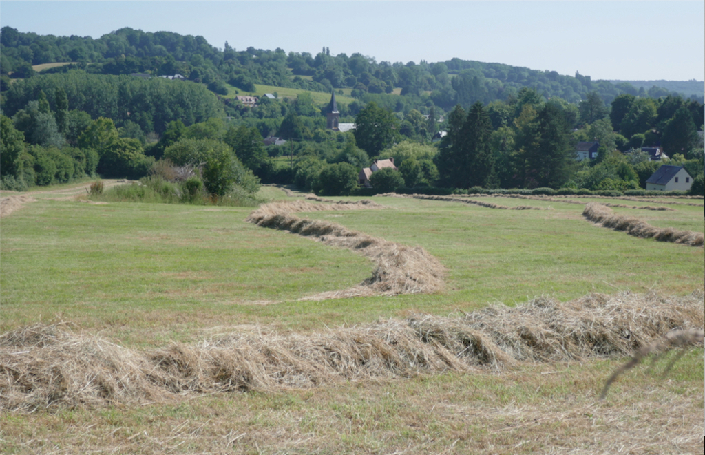 Les foins à Hermival (avant)