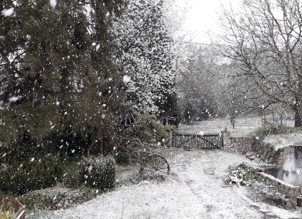 Le jardin et le verger en hiver