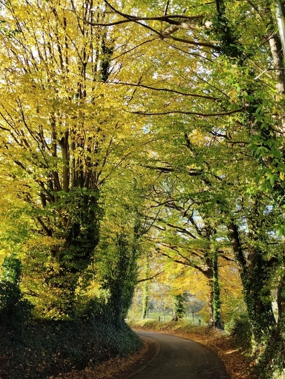 L'automne à Hermival