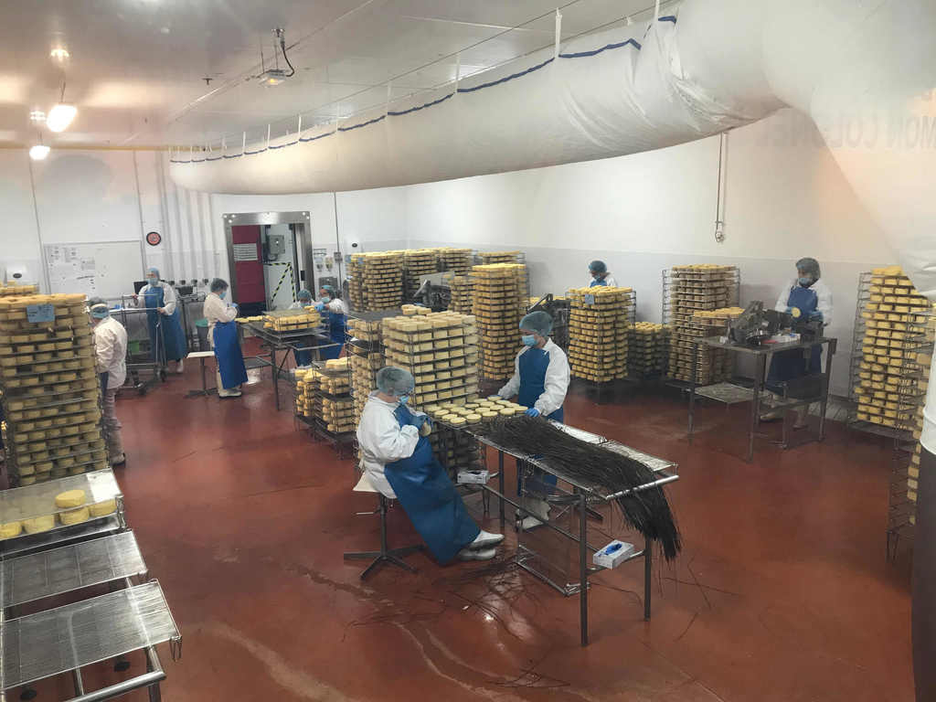 Fabrique de livarots à la fromagerie Graindorge de Livarot (photo Jen & Dirk)