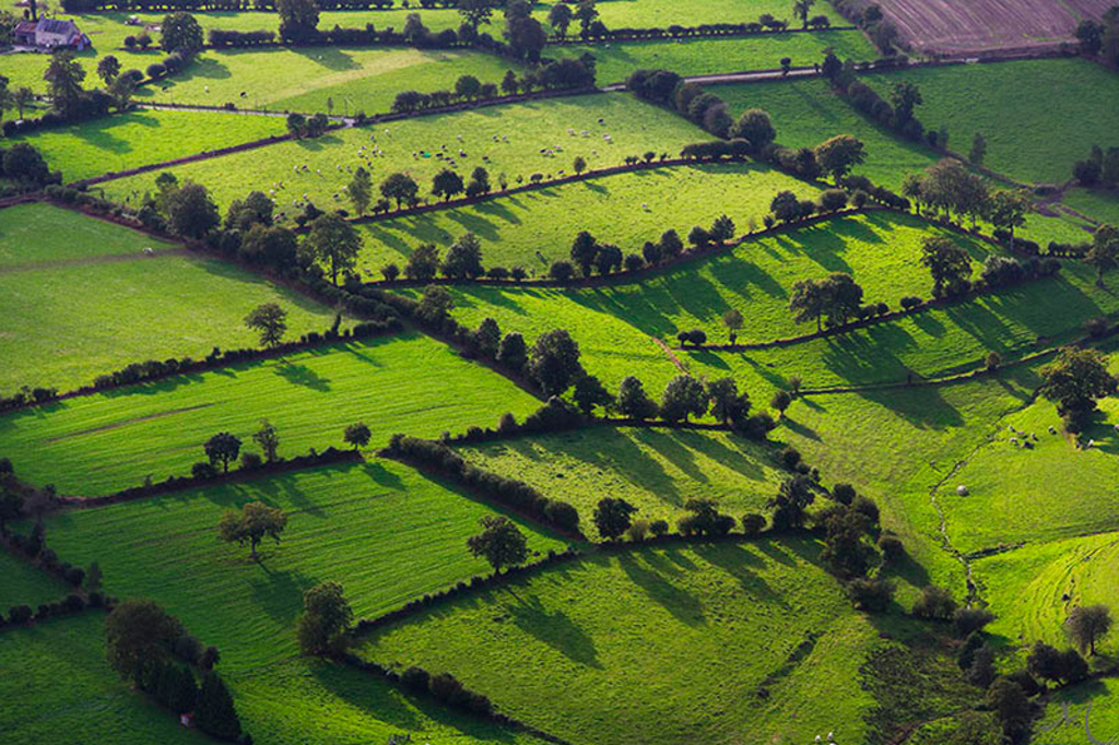 Bocage normand