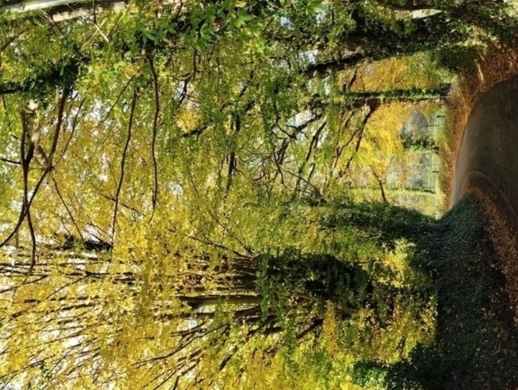 L'automne à Hermival