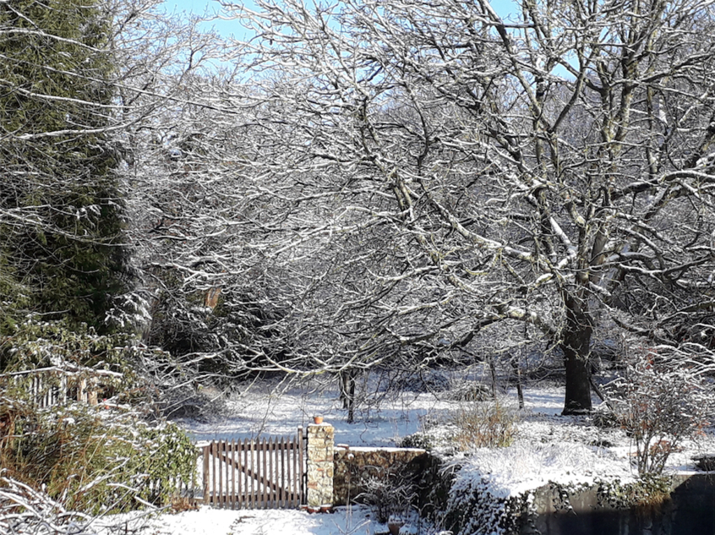 Le verger en hiver