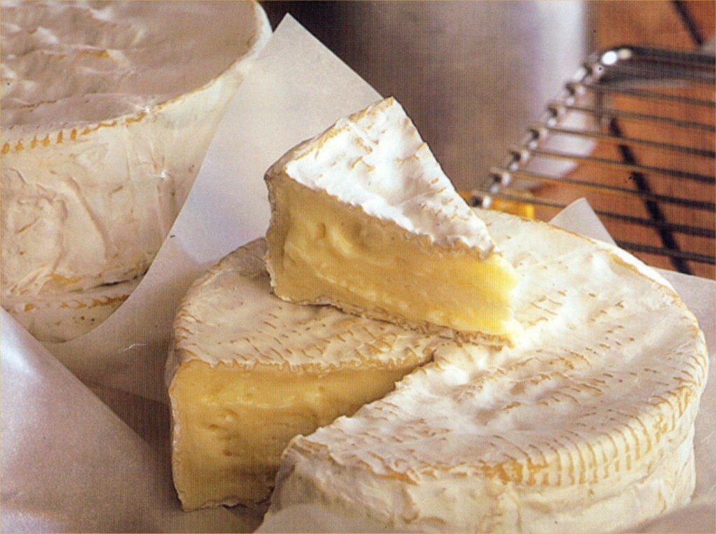 Le camembert du Pays d'Auge, Basse-Normandie