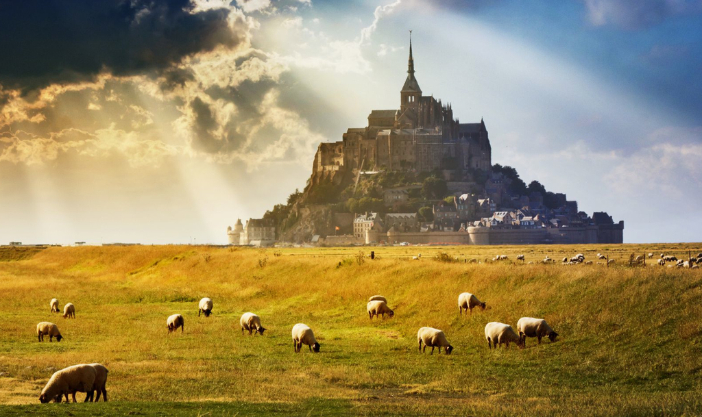 Le Mont Saint-Michel (gothique), Patrimoine Mondial de l'UNESCO, et les moutons des prés salés