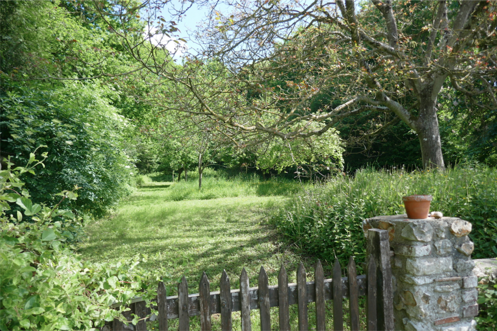 Le verger au début du printemps
