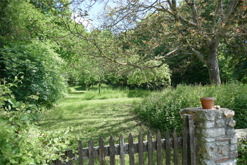 Le verger au début du printemps