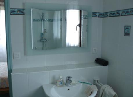 Attached to the bedroom, the private bathroom, with bath and shower.