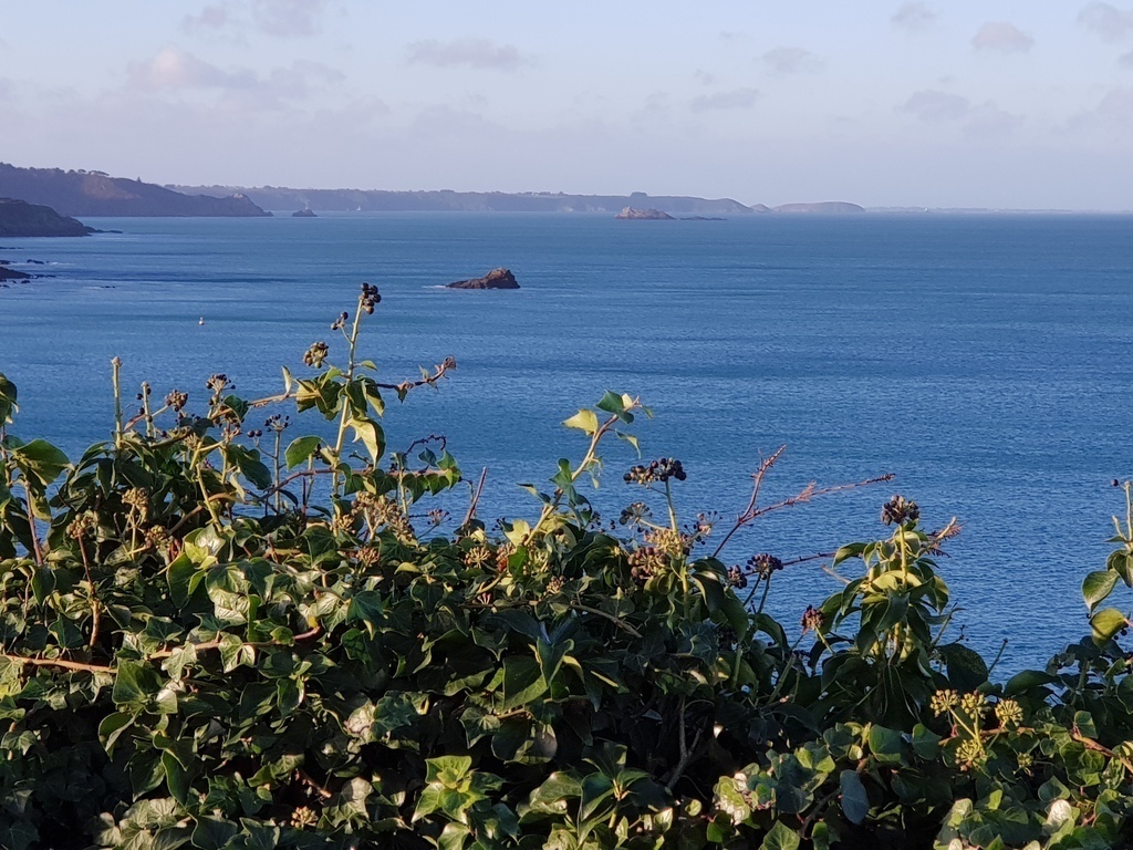 The bay. In the distance, there is the island of Brehat